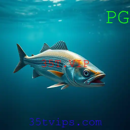 Gaming Experience 35T.VIP - 800+ Premium and Exclusive Games